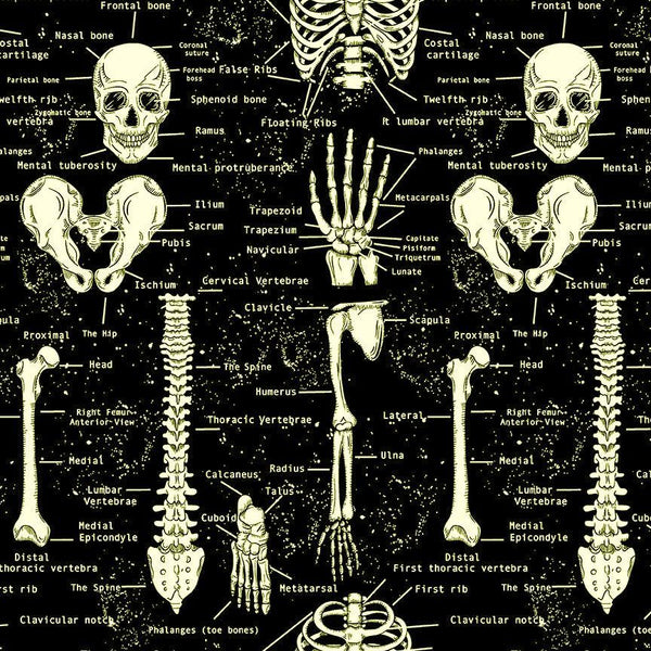 Black Glow in the Dark Skeletons Cotton 44"/45" Fabric Per Yard