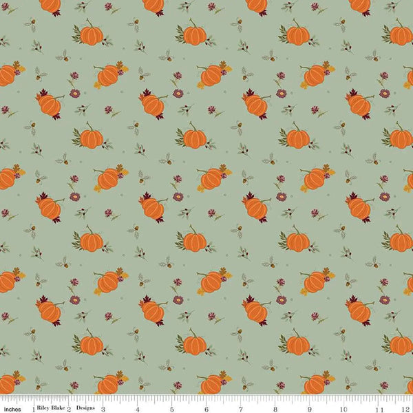The Awe of Autumn Pumpkins Hazy 43"/44" Fabric Per Yard